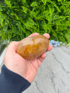 A hand holding a large, round, brown crystal or gemstone against a backdrop of green foliage.