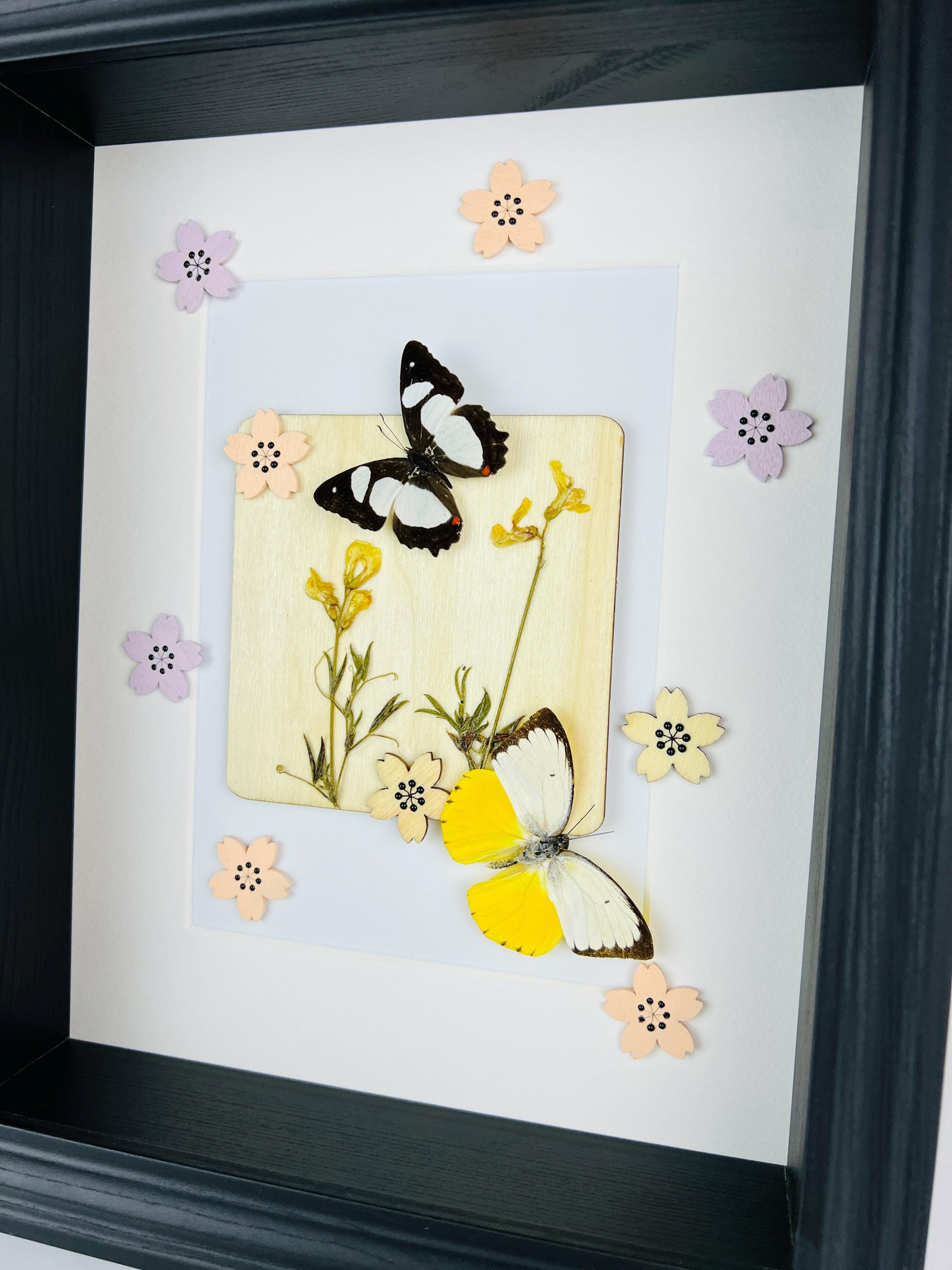 Schmetterlinge mit Trockenblumen und Dekoration im Rahmen