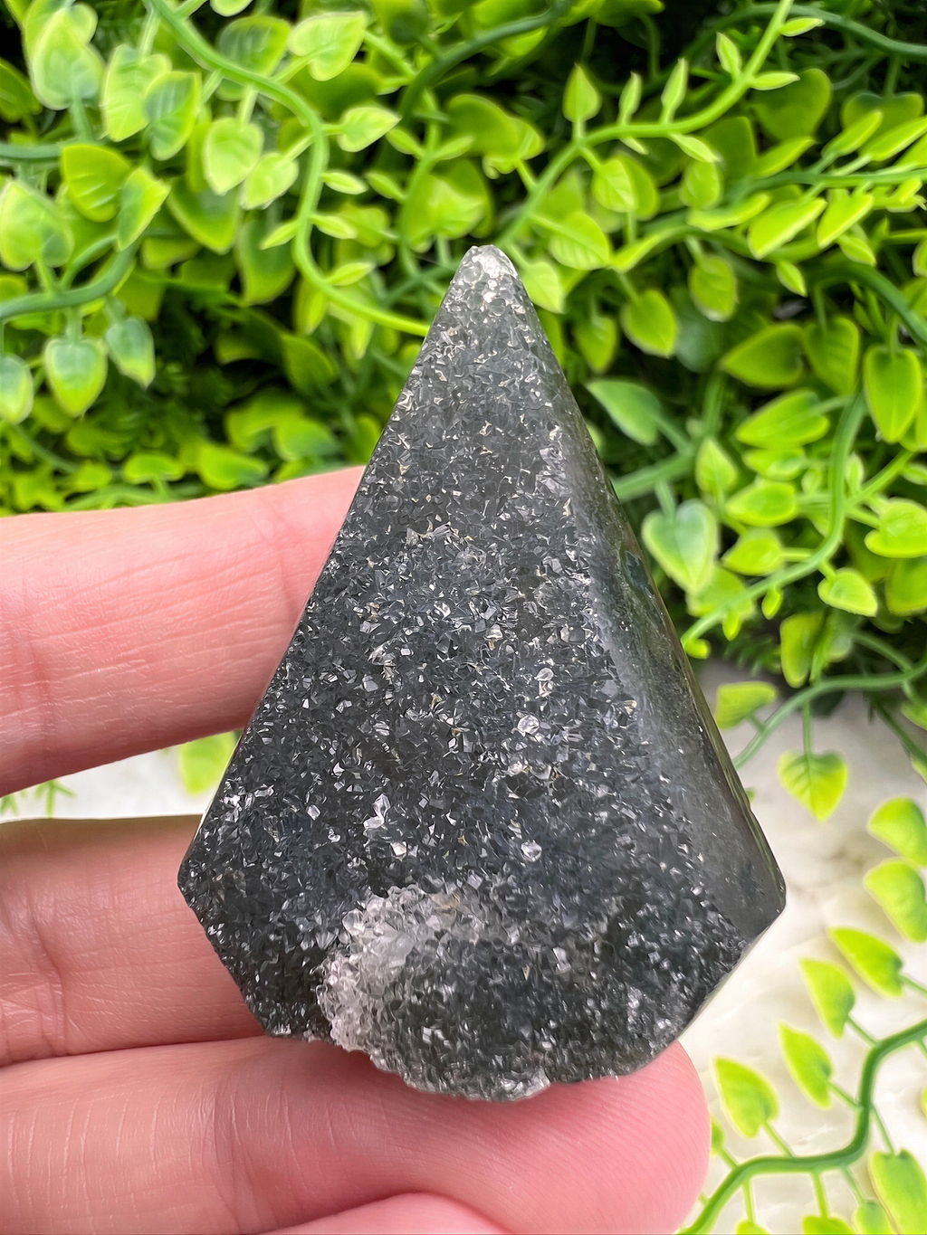 A hand is holding a triangular piece of black rock with a speckled surface, set against a background of green foliage.