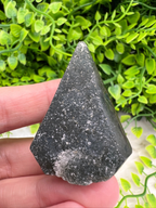 A hand is holding a triangular piece of black rock with a speckled surface, set against a background of green foliage.