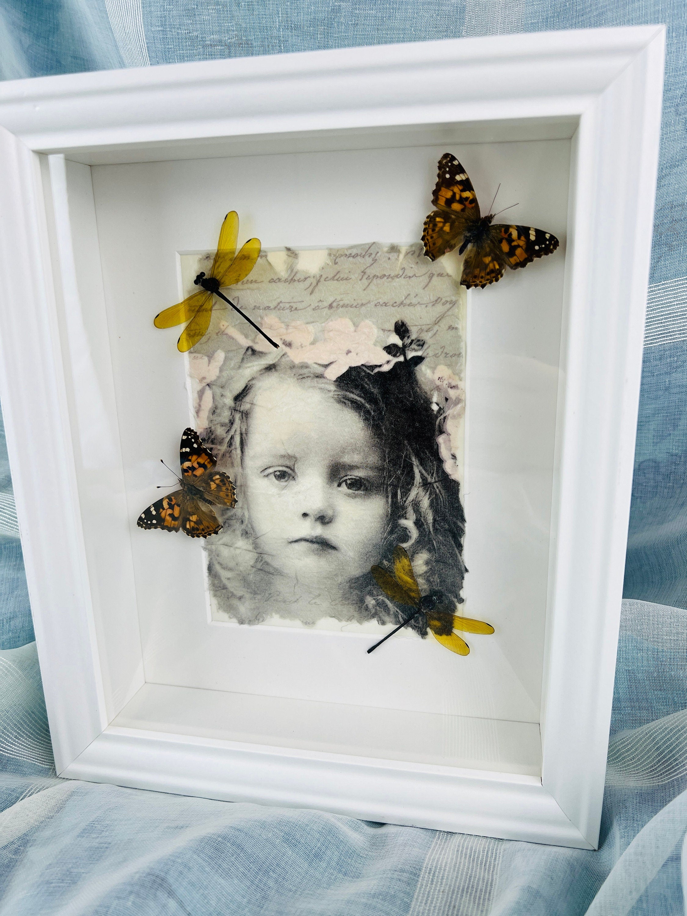 Vanessa Cardui en libelle op print in lijst