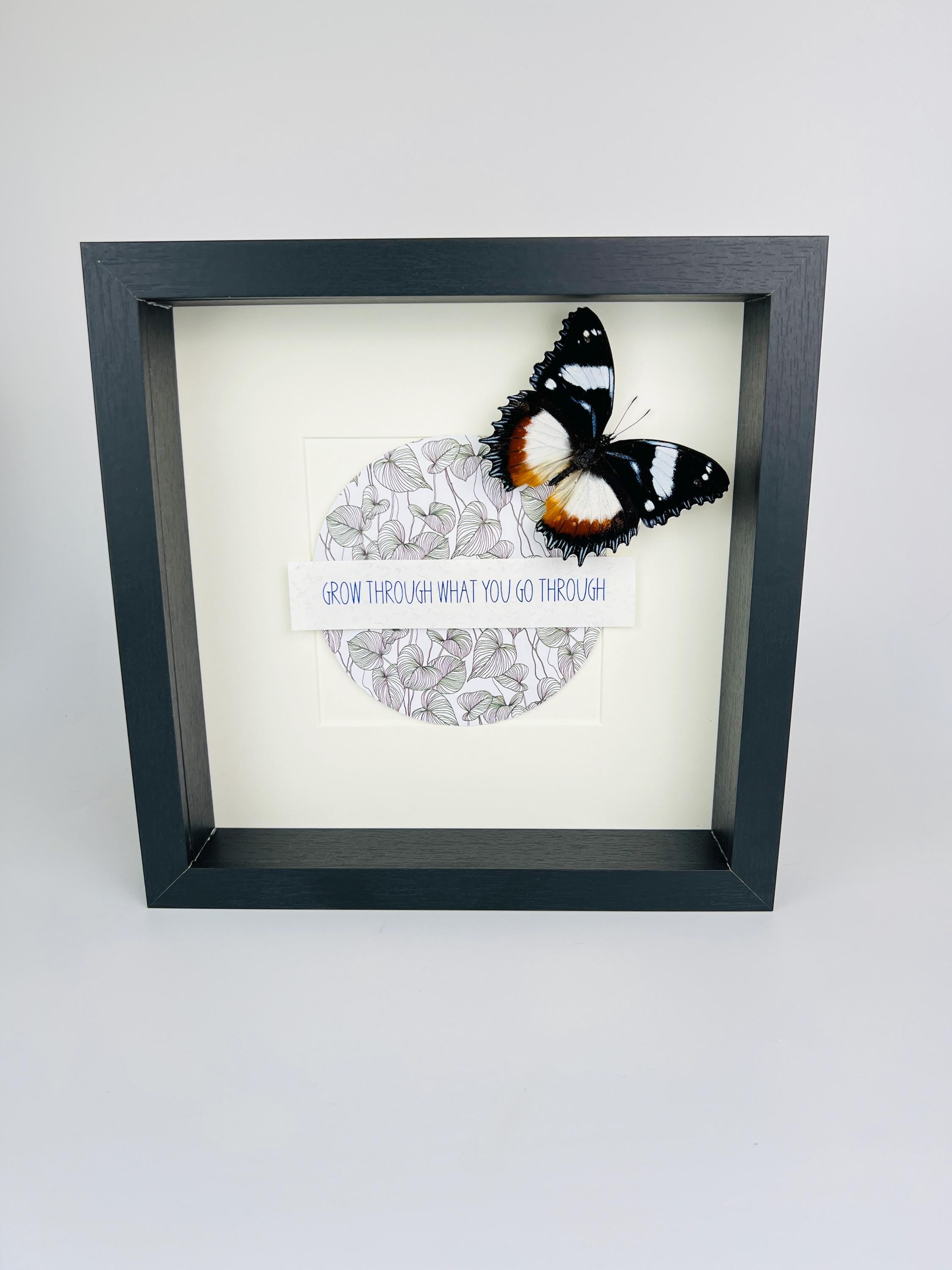 Hypolimnas Dexithea met tekst in lijst