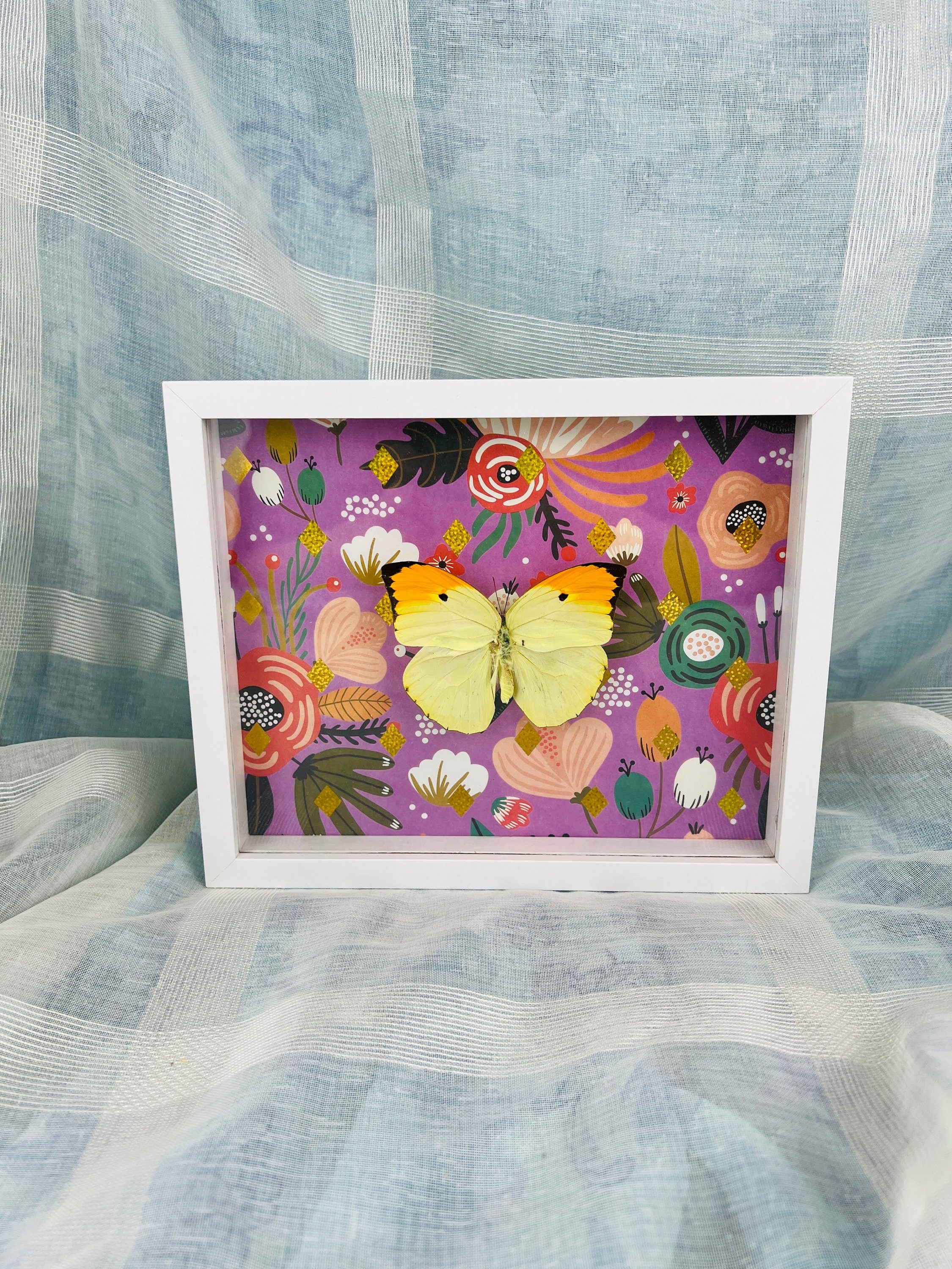 Echte vlinder | Anteos Menippe op print in lijst (23x19cm)