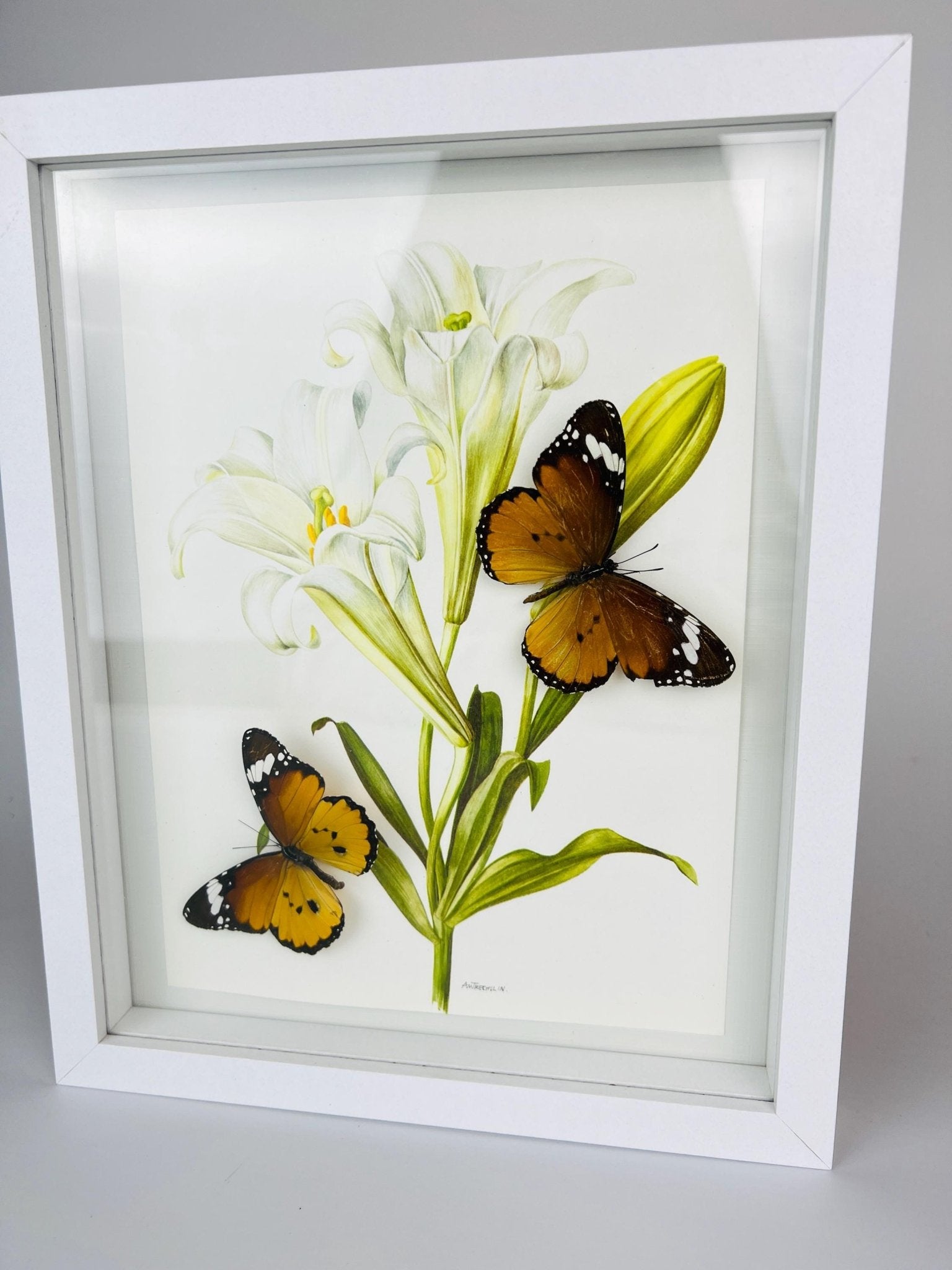 Danaus Chrysippus op vintage bloemenprint in lijst by KEY LIME STORE
