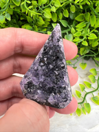 A hand is holding a piece of amethyst crystal against a backdrop of green foliage.