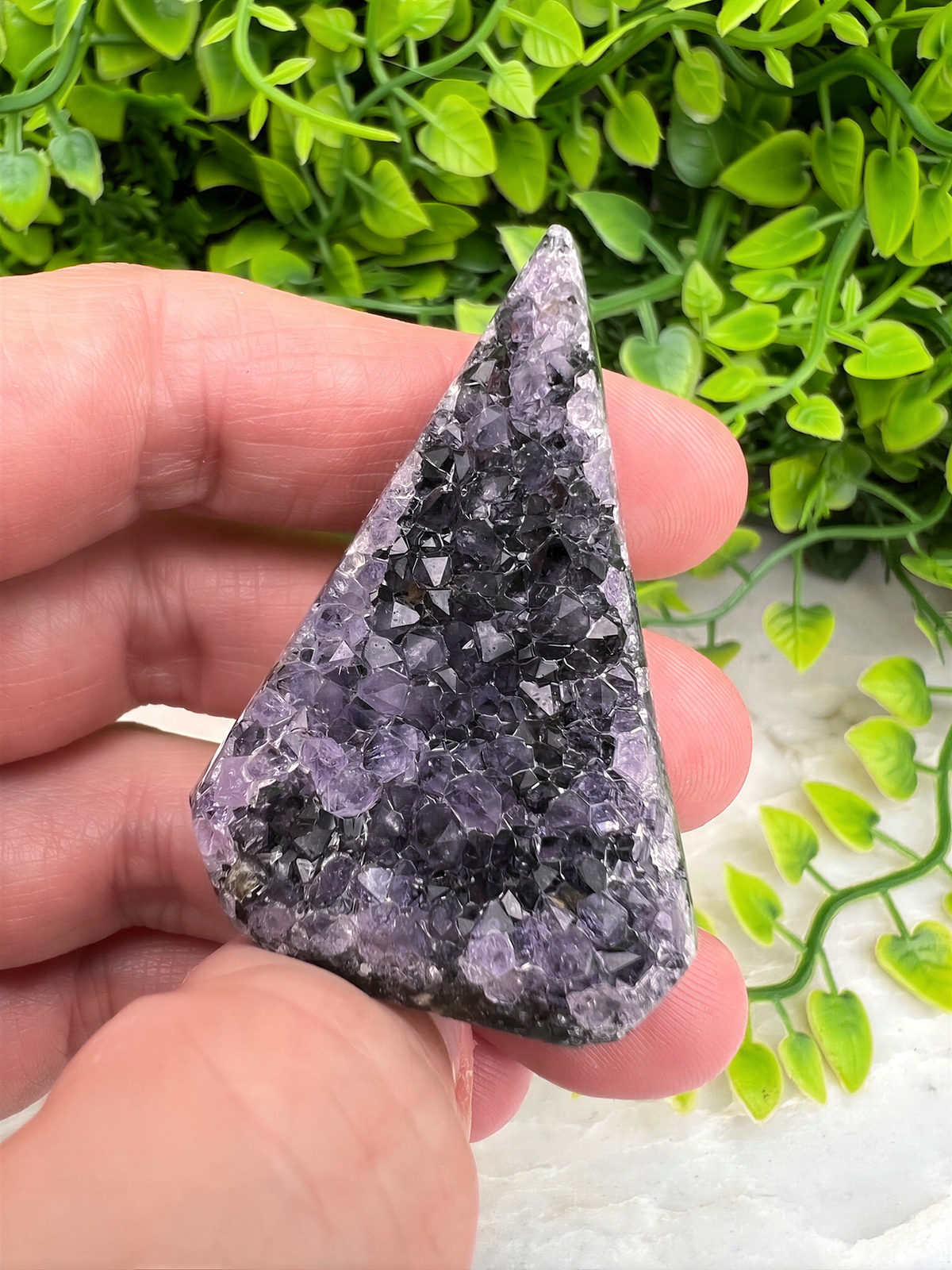 A hand is holding a piece of amethyst crystal against a backdrop of green foliage.