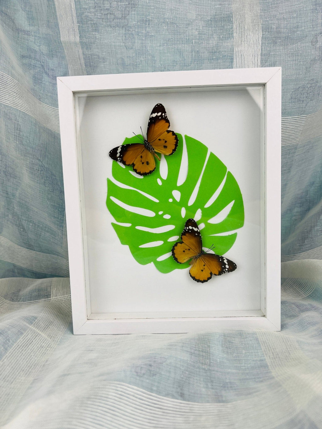 „Danaus Chrysippus“ auf Monstera-Druck, gerahmt von KEY LIME STORE