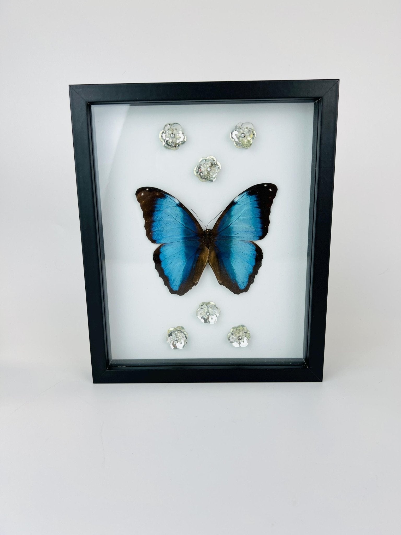 Morpho Deidamia met glitterbloemen in lijst by KEY LIME STORE