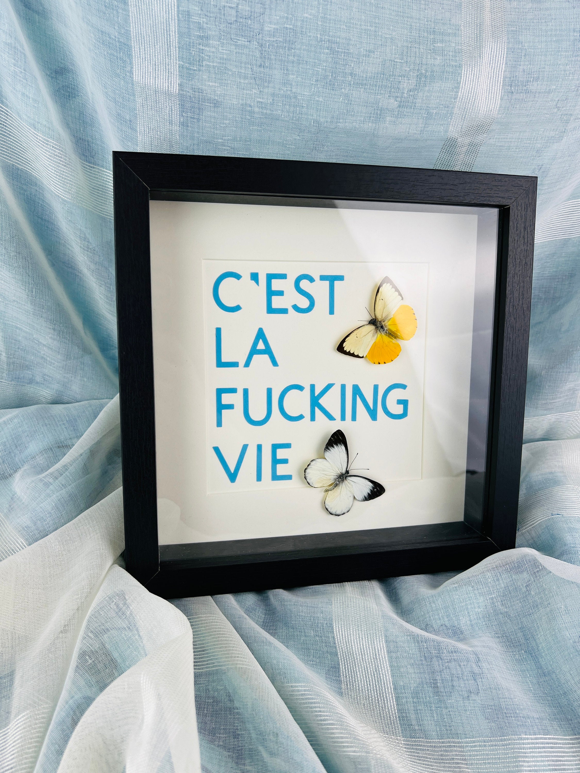 Vlinders met tekst in lijst