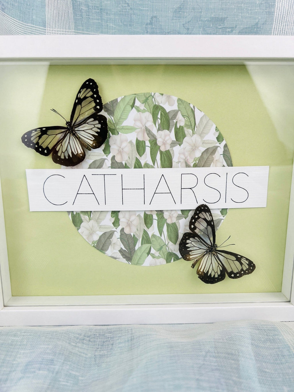 „Parantica Vitrina“ auf Catharsis-Druck, gerahmt von KEY LIME STORE