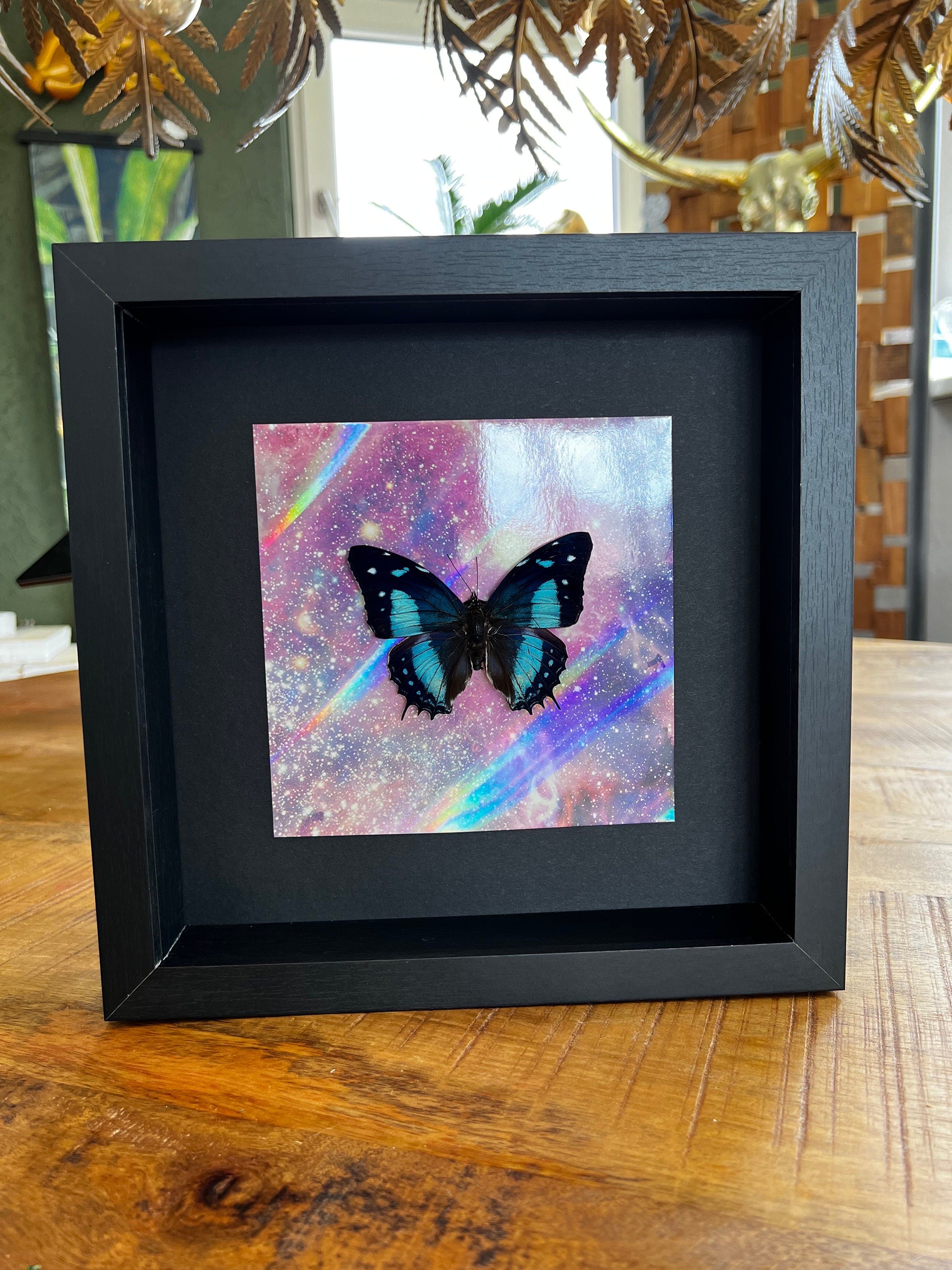 Baeotus Aeilus op print in lijst