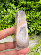 A hand is holding a clear, triangular-shaped crystal with a white and gray color pattern, set against a background of green foliage.