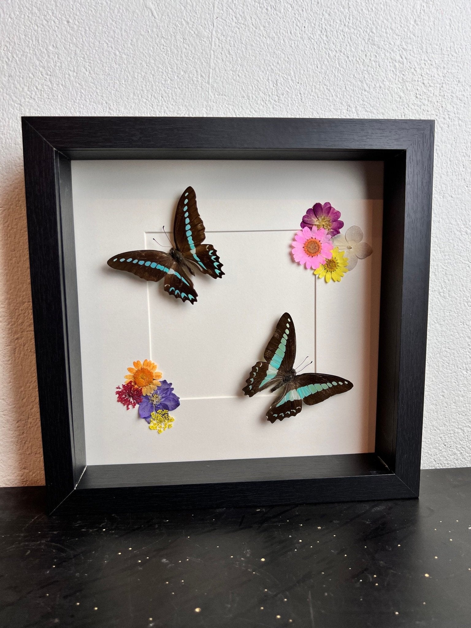 „Graphium Milon“ und „Graphium Sarpedon“ mit Trockenblumen in einem Rahmen von KEY LIME STORE