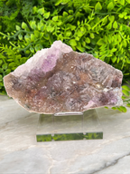 a piece of amethyst, a purple crystal, displayed on a clear glass stand. The crystal is surrounded by greenery, creating a natural and serene setting.