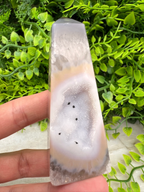 A hand is holding a clear, rectangular-shaped stone with a unique, irregular pattern, set against a backdrop of green foliage.