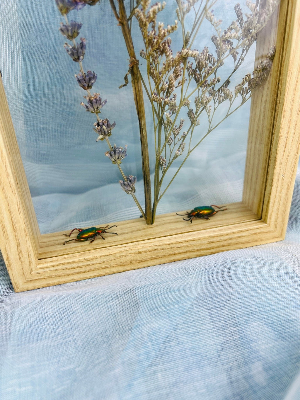 Doppelverglasung mit Holzrahmen, verziert mit Käfern und Trockenblumen von KEY LIME STORE