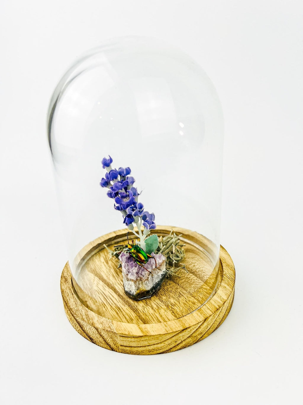 Schillernder Käfer auf Amethyst mit Lavendel und echtem Moos in einer Glasglocke von KEY LIME STORE