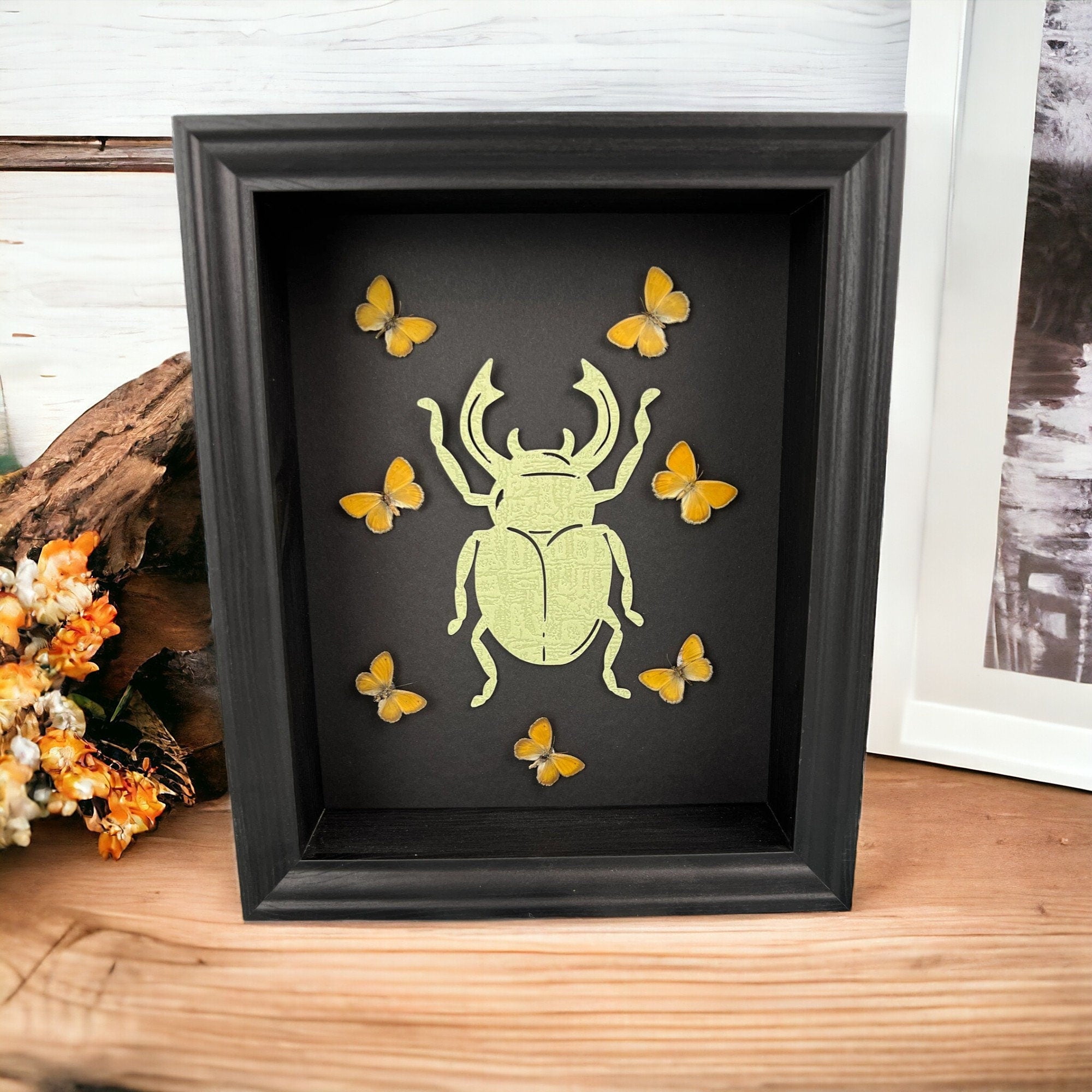 Butterfly Taxidermy Art with Intriguing Paper Beetle - Home Decor