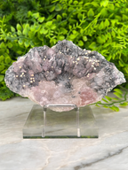 A clear glass display case containing a piece of rock with pink and black coloring, surrounded by greenery.