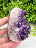 A hand is holding a piece of amethyst crystal, which is a purple crystal with numerous small crystals embedded in it. The hand is positioned in front of a background of green foliage, creating a natural and serene setting.