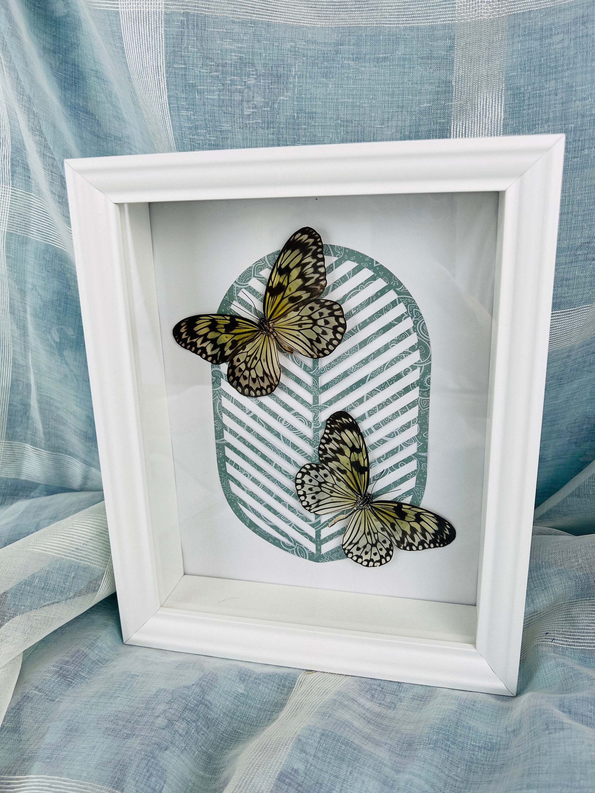 Idea Leuconoe op print in lijst