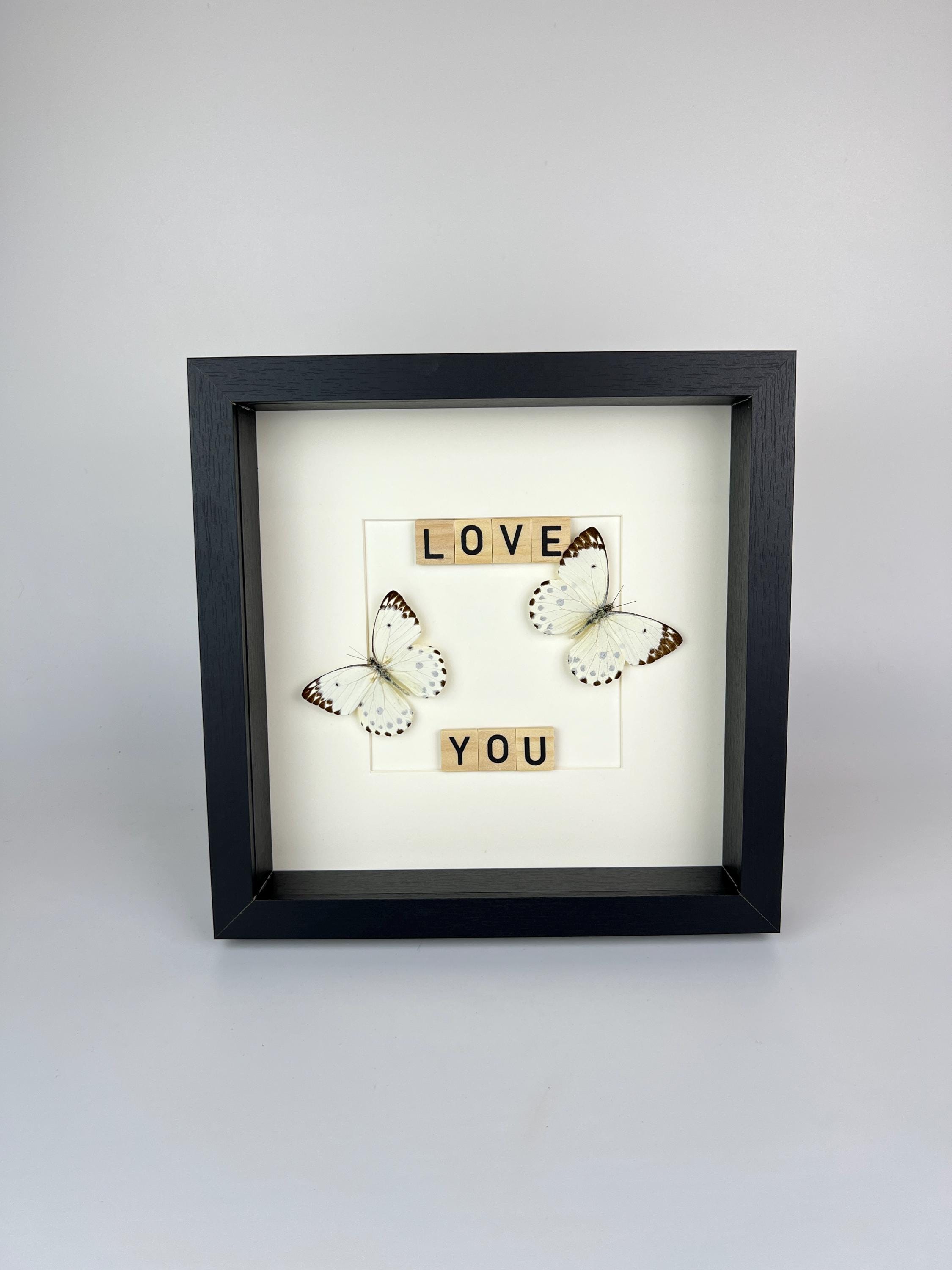 Hebemoia Leucippe-Schmetterling im Rahmen