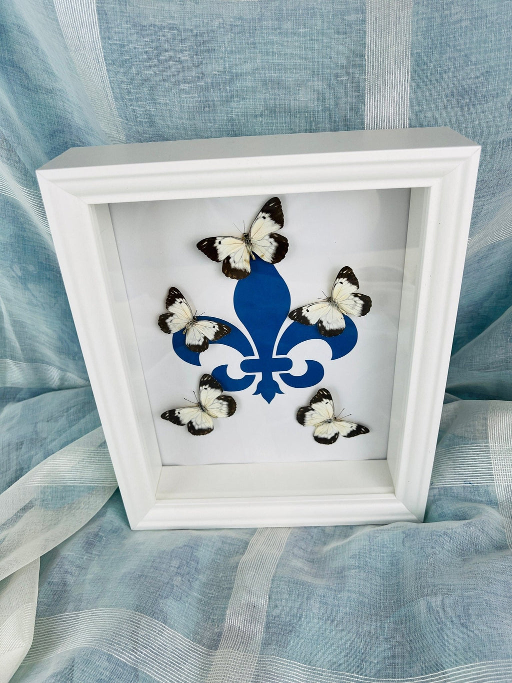 „Belenois“ mit „Fleur de Lis“-Motiv, gerahmt von KEY LIME STORE