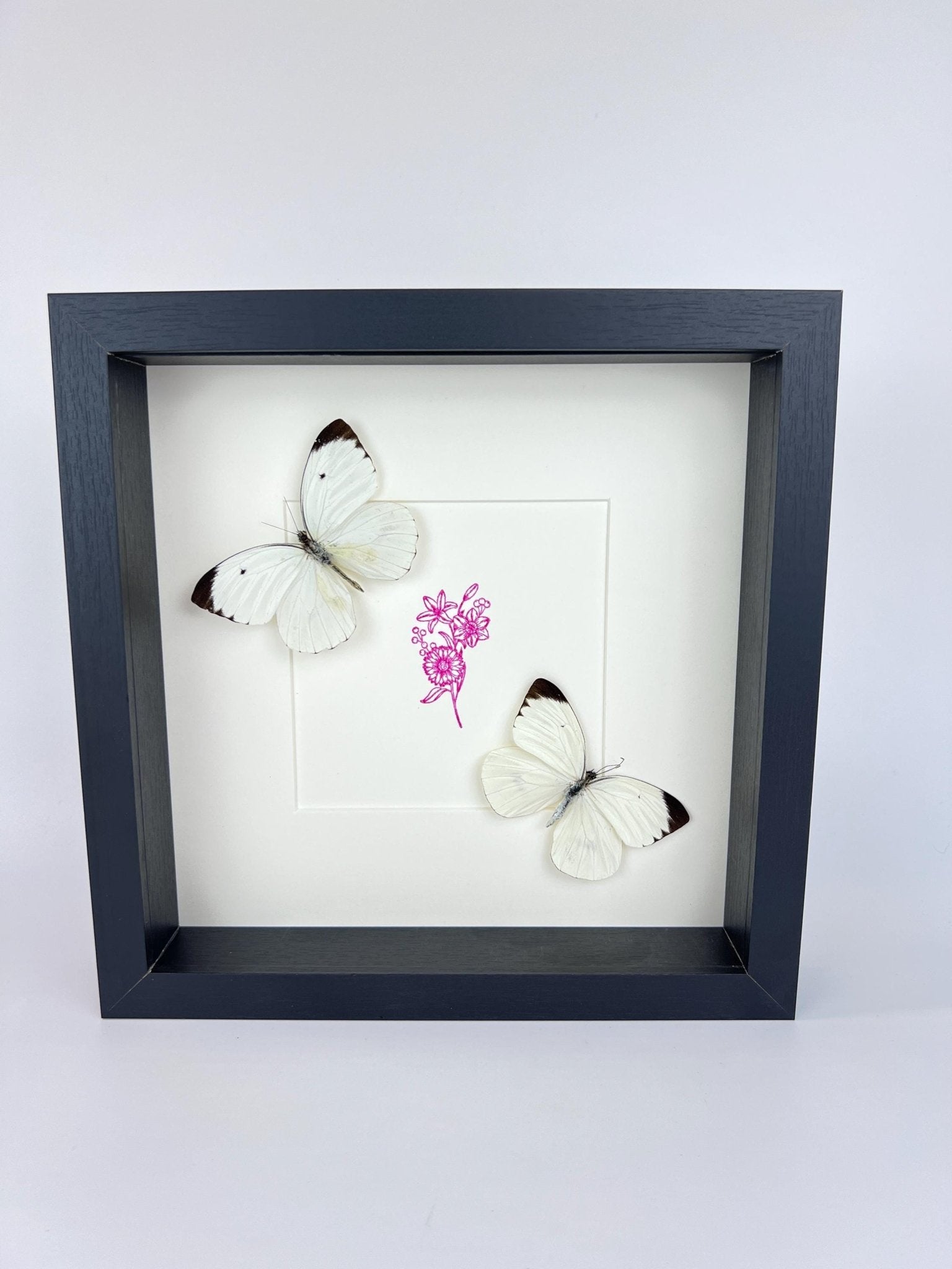 Ascia Bunaie auf violettem Blumenmuster, gerahmt von KEY LIME STORE