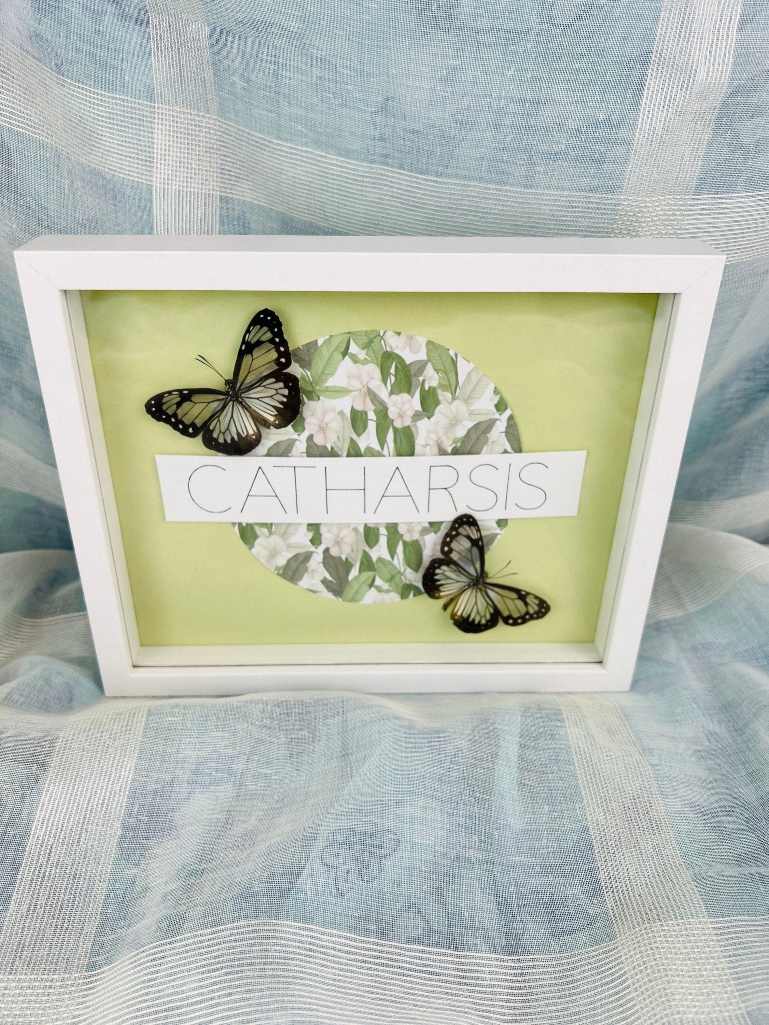 „Parantica Vitrina“ auf Catharsis-Druck, gerahmt von KEY LIME STORE