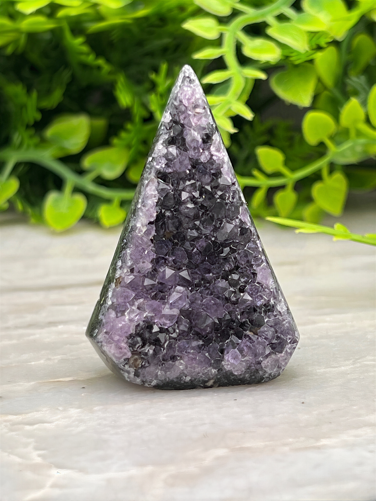 A triangular amethyst crystal sits on a white surface, surrounded by lush green foliage.