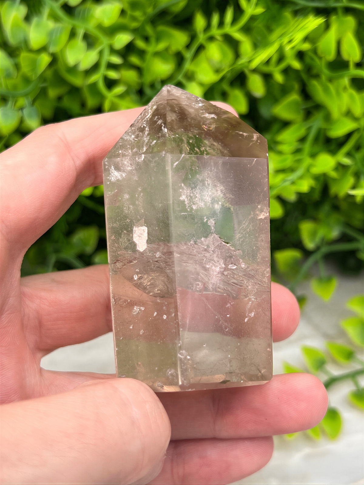 A hand holding a clear crystal with a jagged edge, set against a background of green foliage.