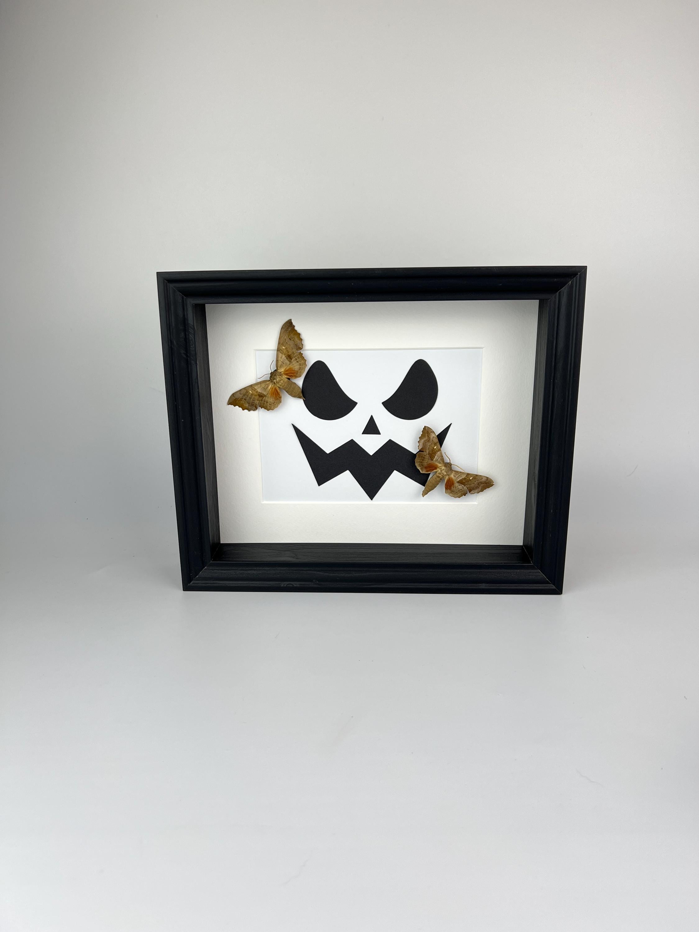 Motten op halloween print in lijst