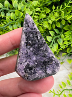 A hand is holding a piece of amethyst, a purple crystal, against a backdrop of green foliage.