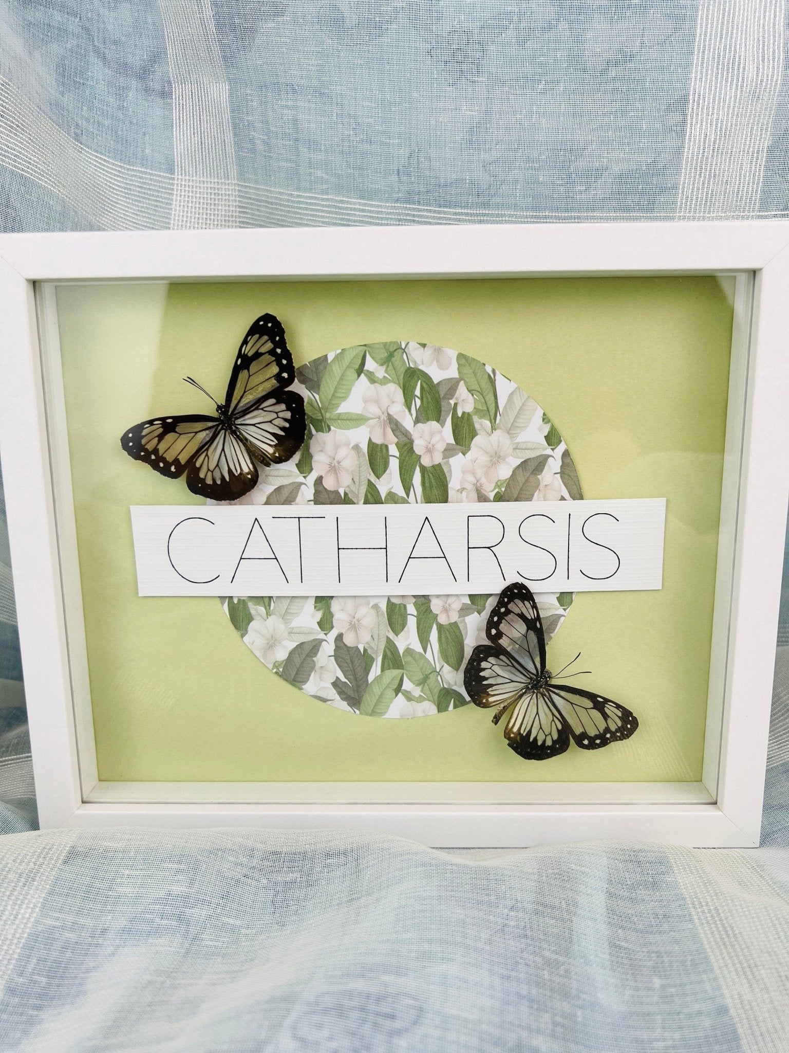 „Parantica Vitrina“ auf Catharsis-Druck, gerahmt von KEY LIME STORE