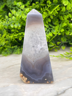 A clear, triangular agate stone with a unique, striped pattern rests on a white surface, surrounded by lush green foliage.