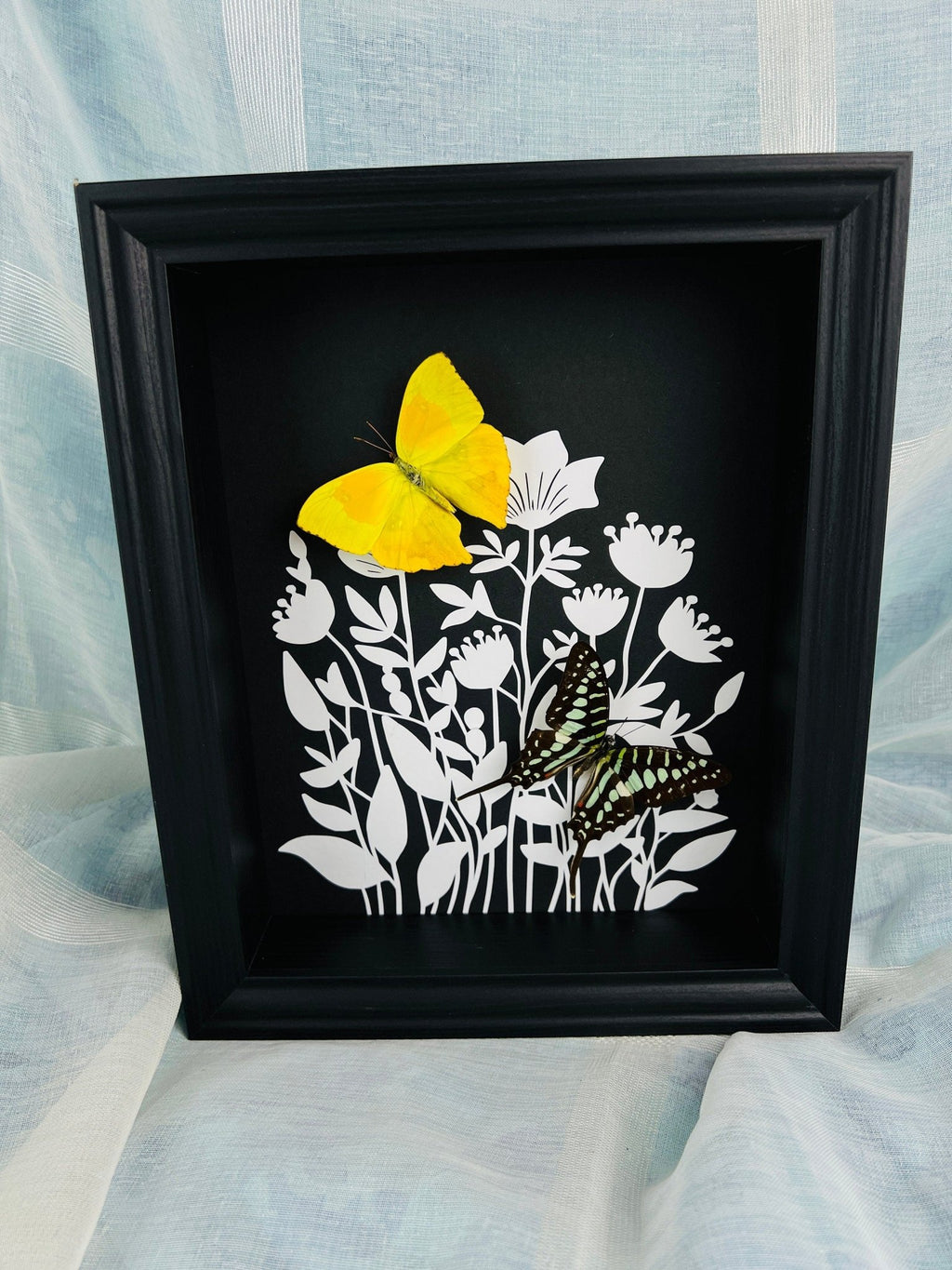 Phoebis Rurina und Graphium Antheus als Druck in einem Rahmen von KEY LIME STORE