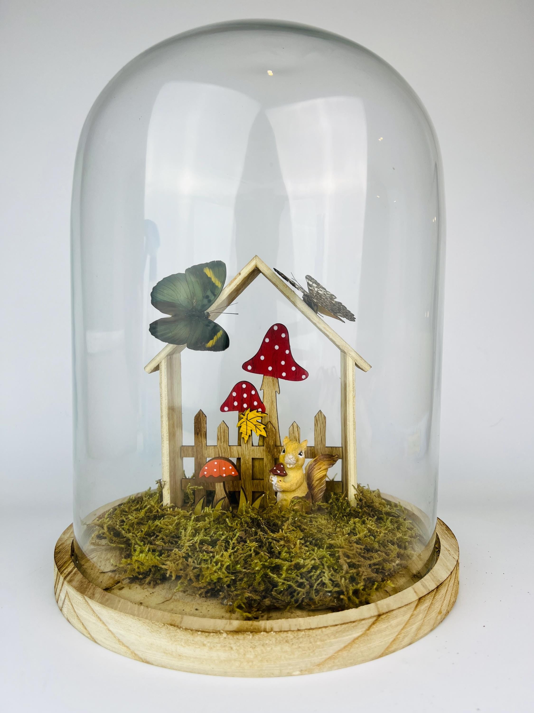 Twee vlinders op een tafereeltje in stolp