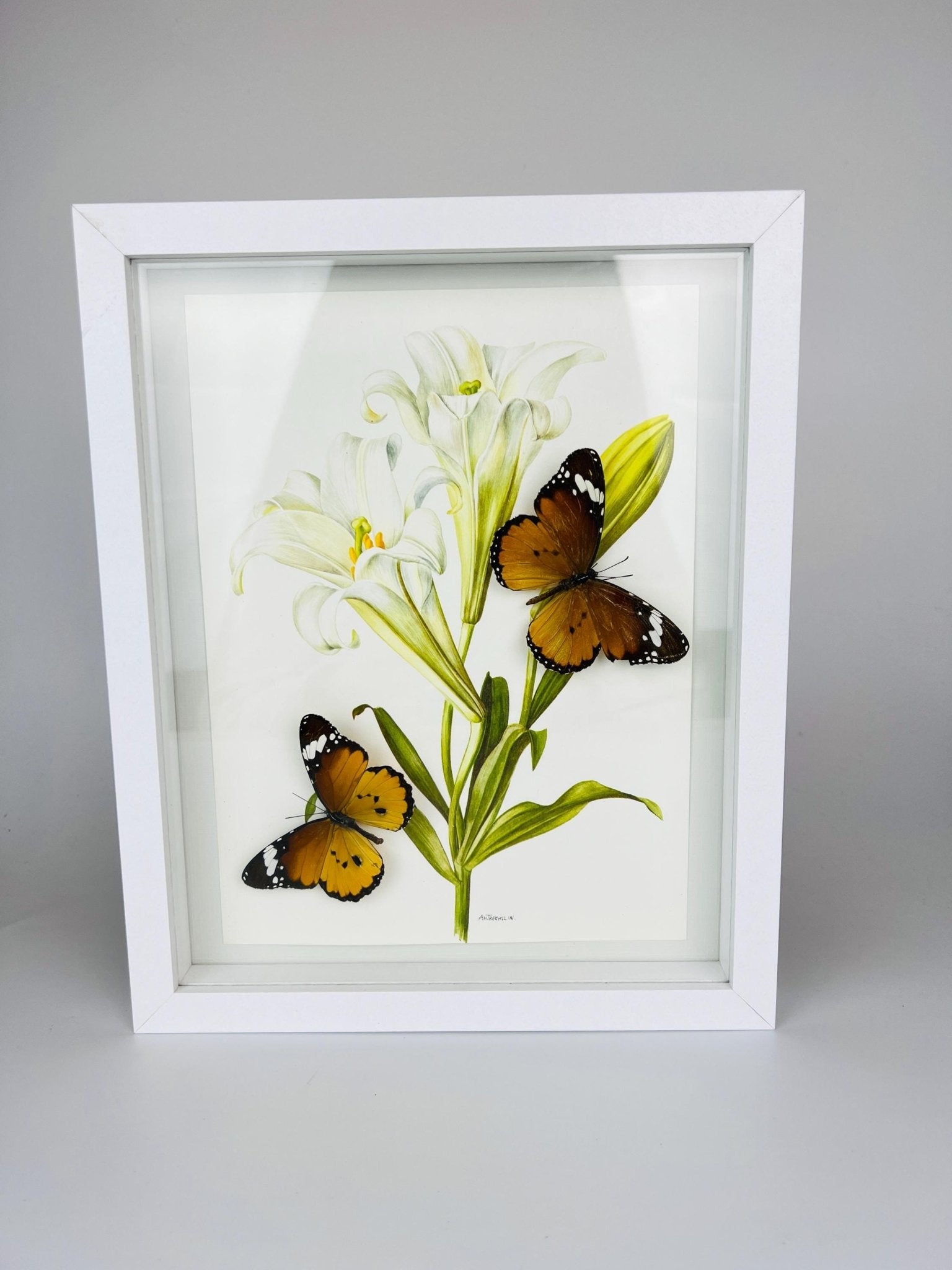 Danaus Chrysippus auf Vintage-Blumenmuster, gerahmt von KEY LIME STORE