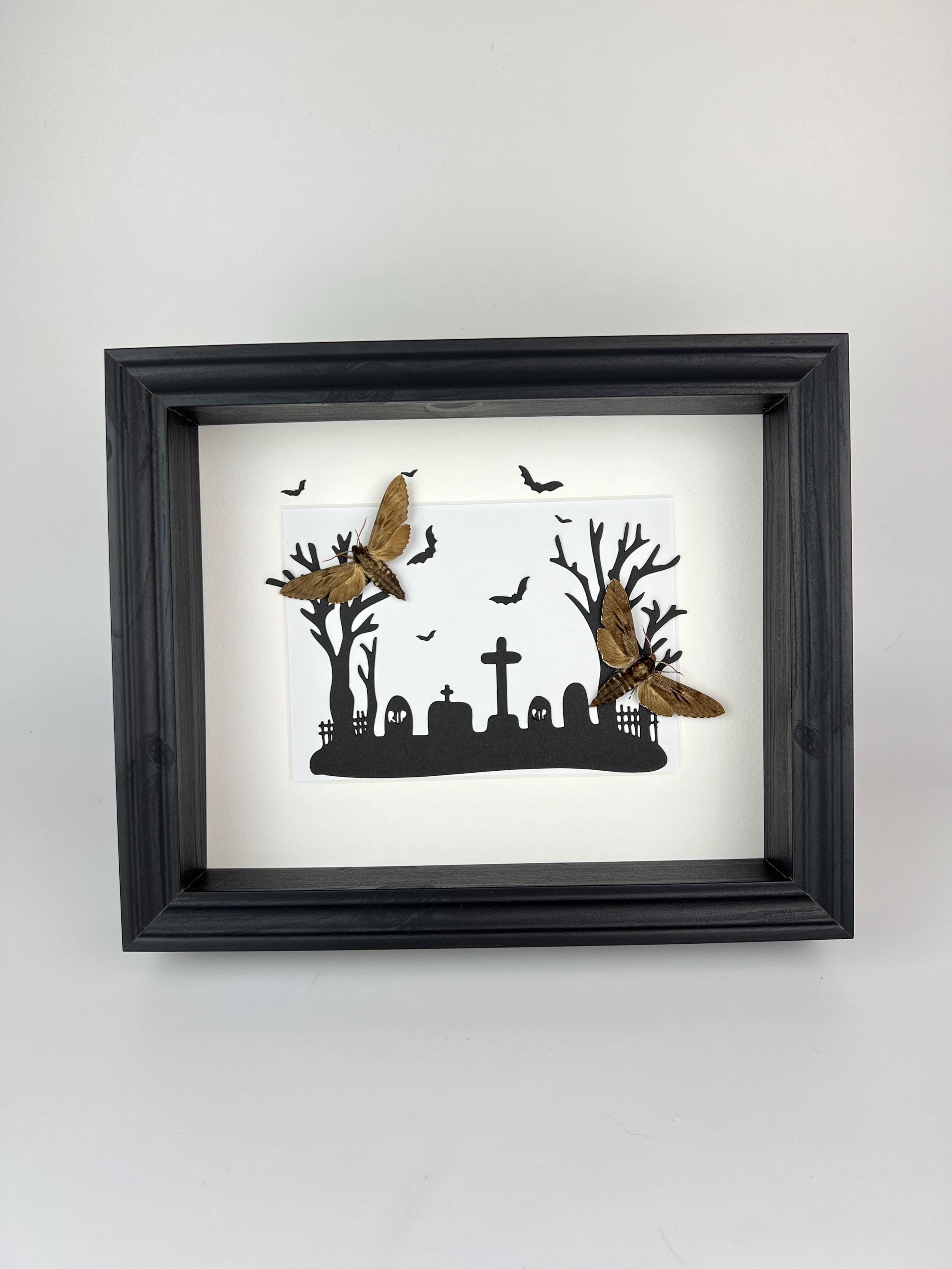 Sphinx Ligustri auf Halloween-Druck im Rahmen