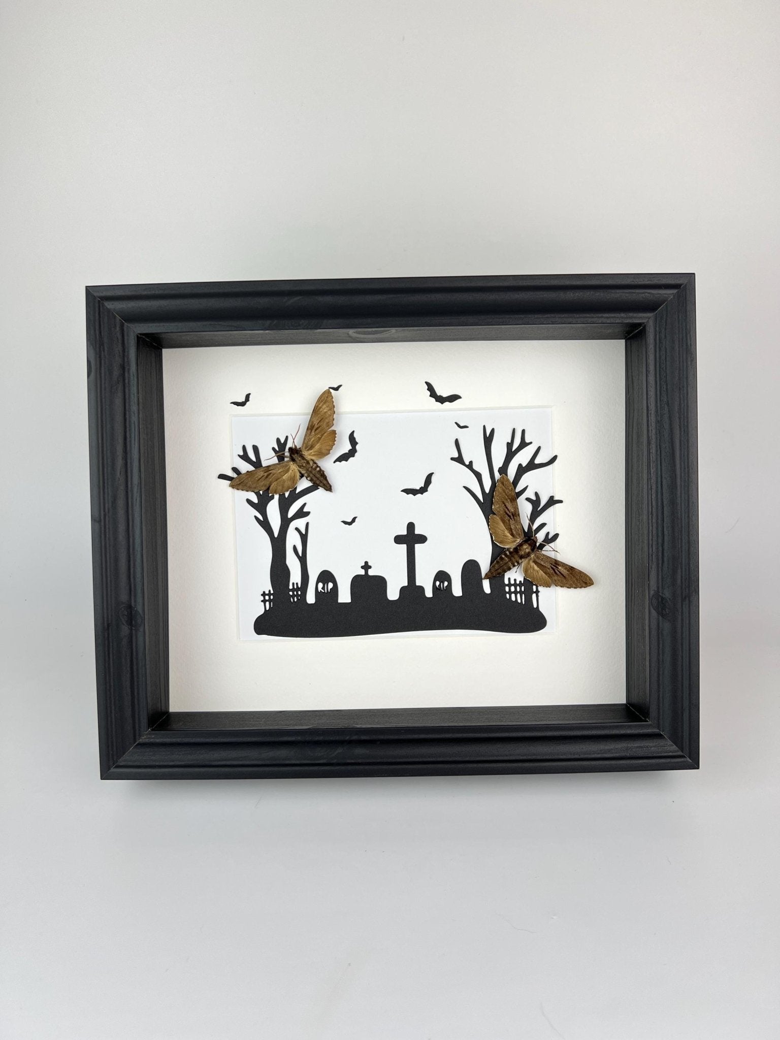 Sphinx Ligustri auf Halloween-Druck im Rahmen von KEY LIME STORE