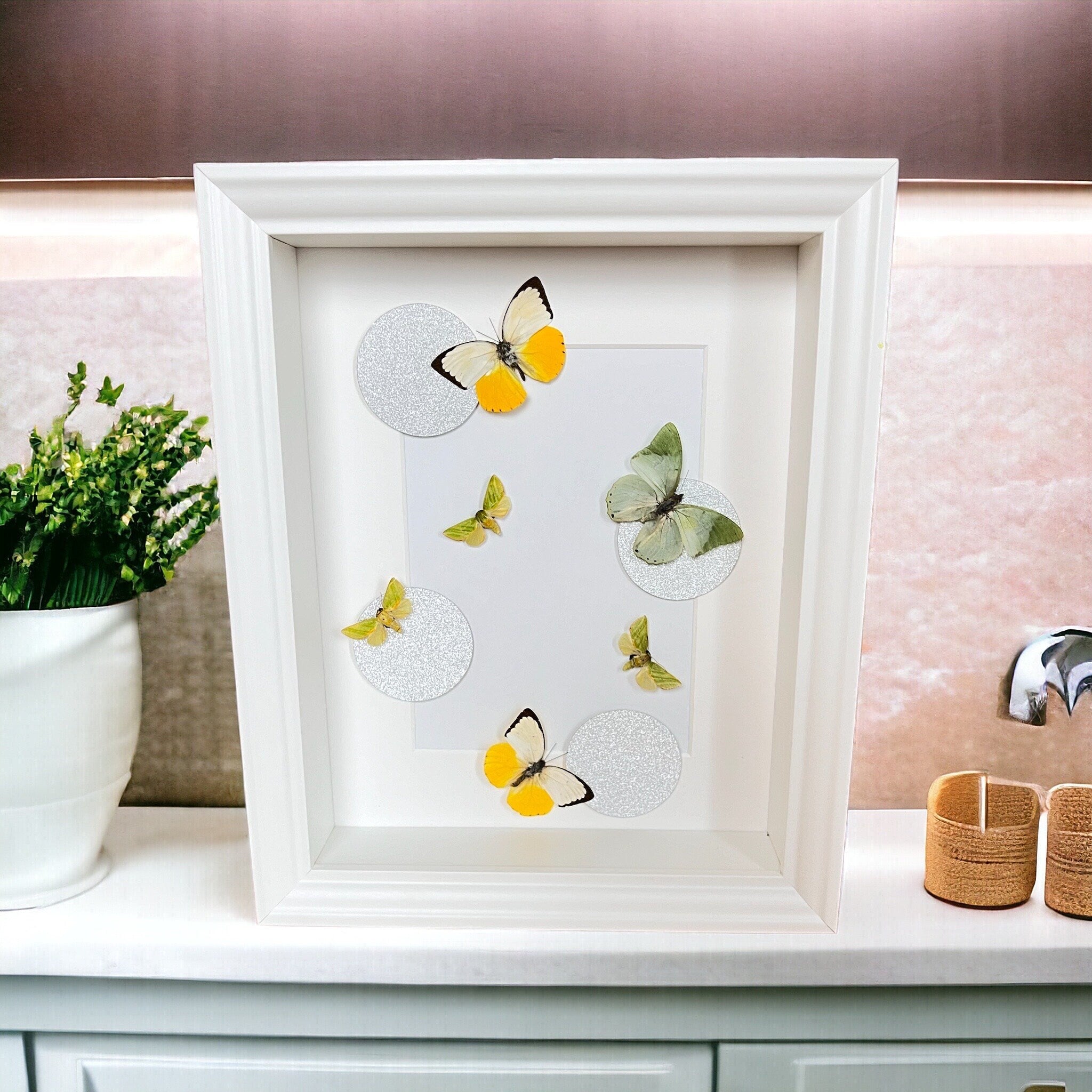 Schmetterlinge im Rahmen von KEY LIME STORE