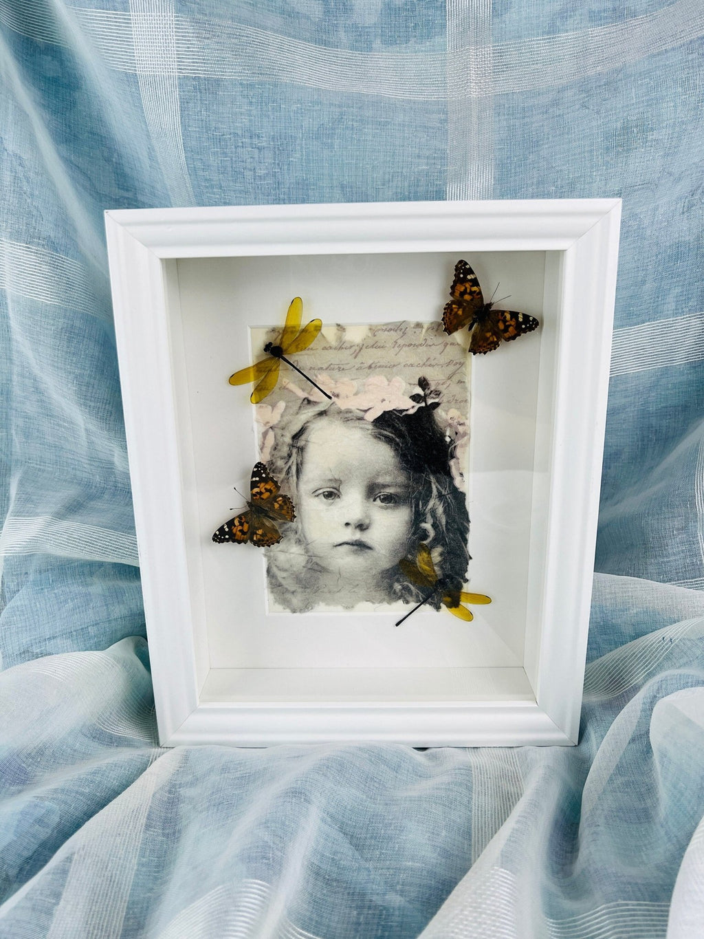 Vanessa Cardui und Libelle als Druck in einem Rahmen von KEY LIME STORE