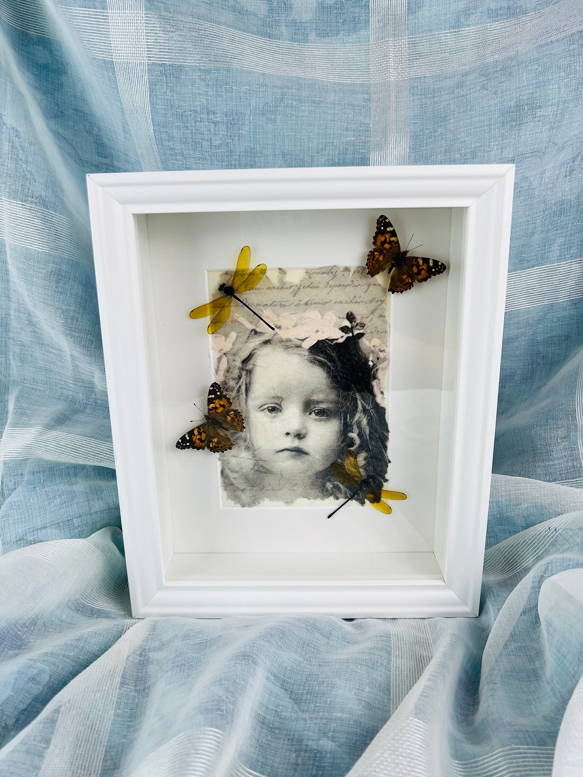 Vanessa Cardui en libelle op print in lijst