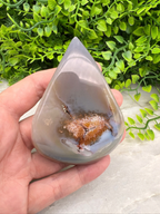 A hand is holding a teardrop-shaped agate stone with a brownish speckled surface, set against a backdrop of green foliage.