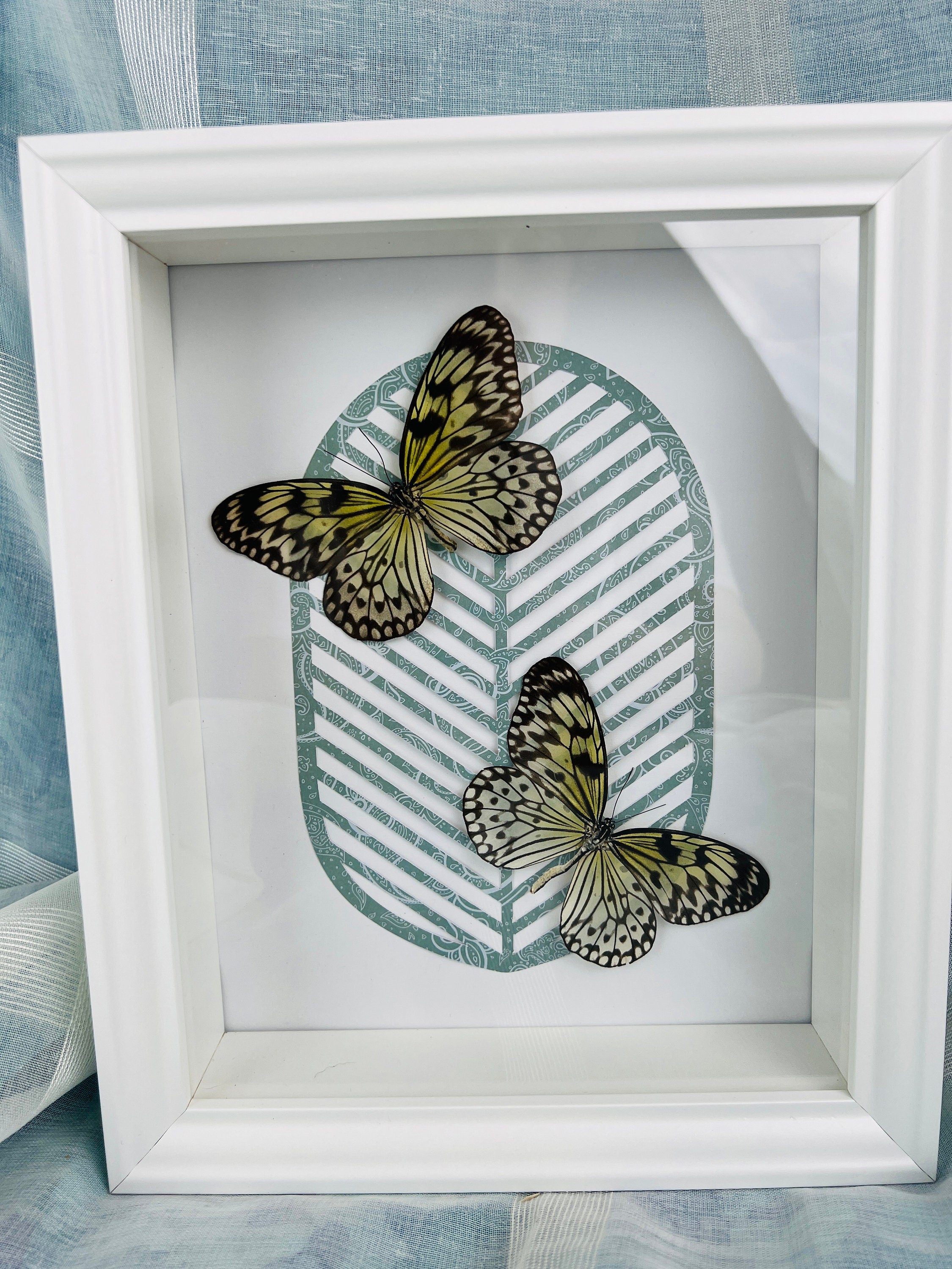 Idea Leuconoe op print in lijst