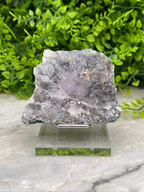 a clear glass display case holding a large, irregularly shaped piece of gray rock with a purple hue, set against a backdrop of lush green foliage.