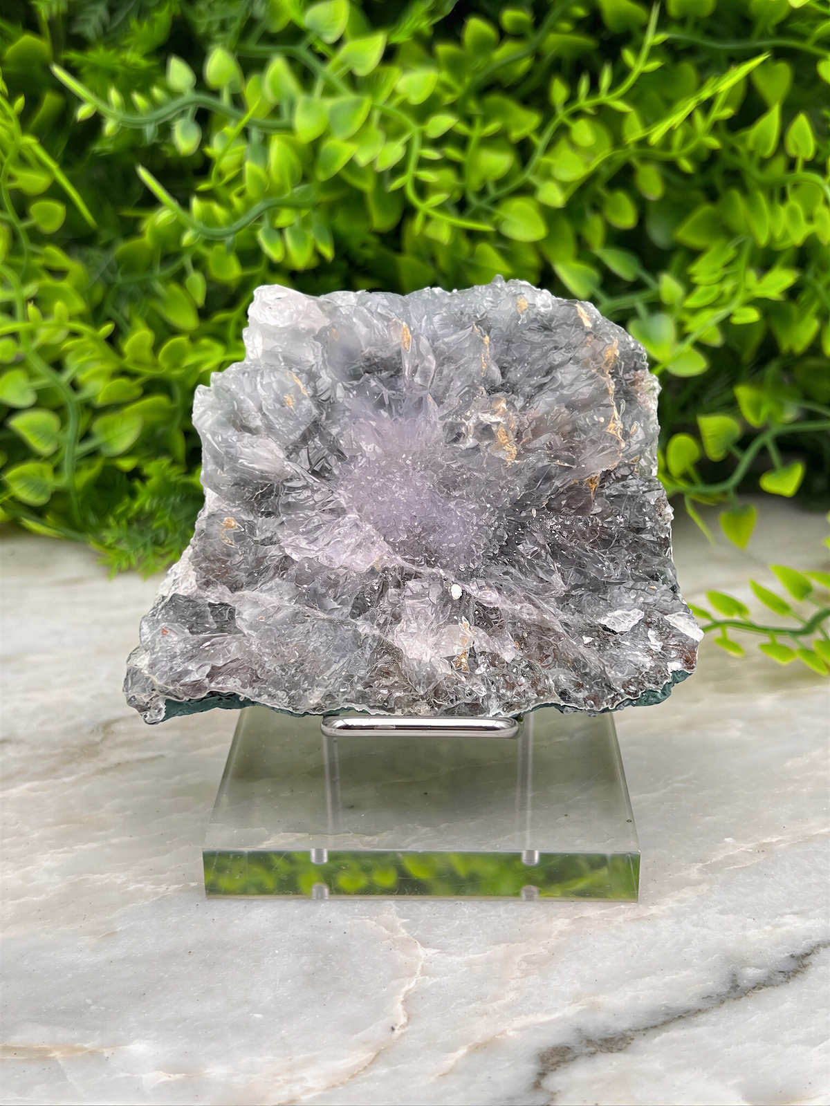 a clear glass display case holding a large, irregularly shaped piece of gray rock with a purple hue, set against a backdrop of lush green foliage.