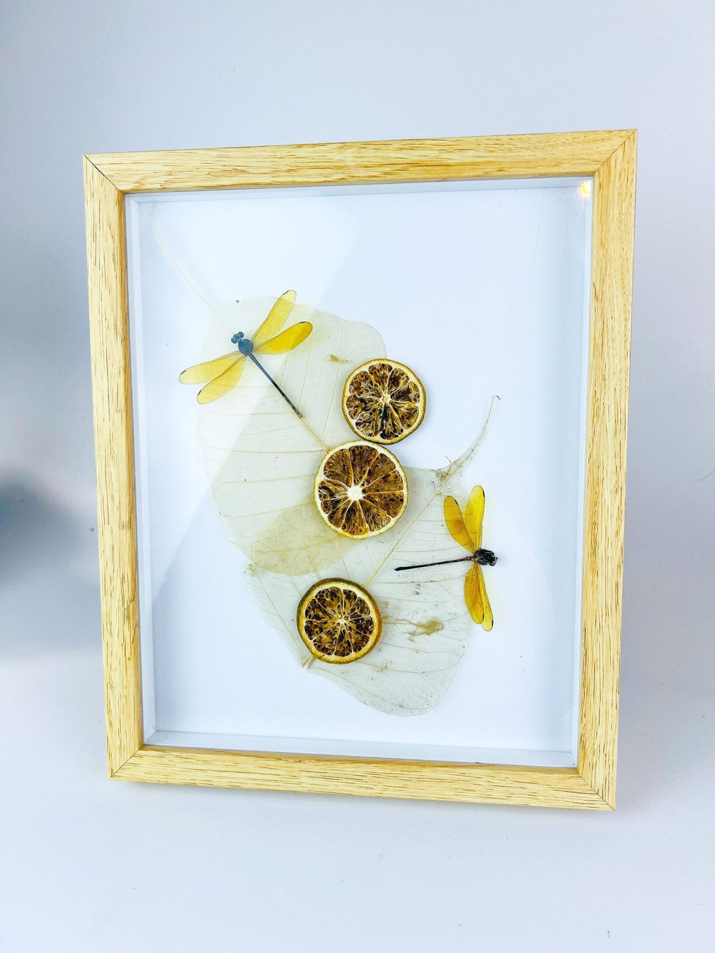 Libelle mit getrockneten Verzierungen in einem Rahmen von KEY LIME STORE