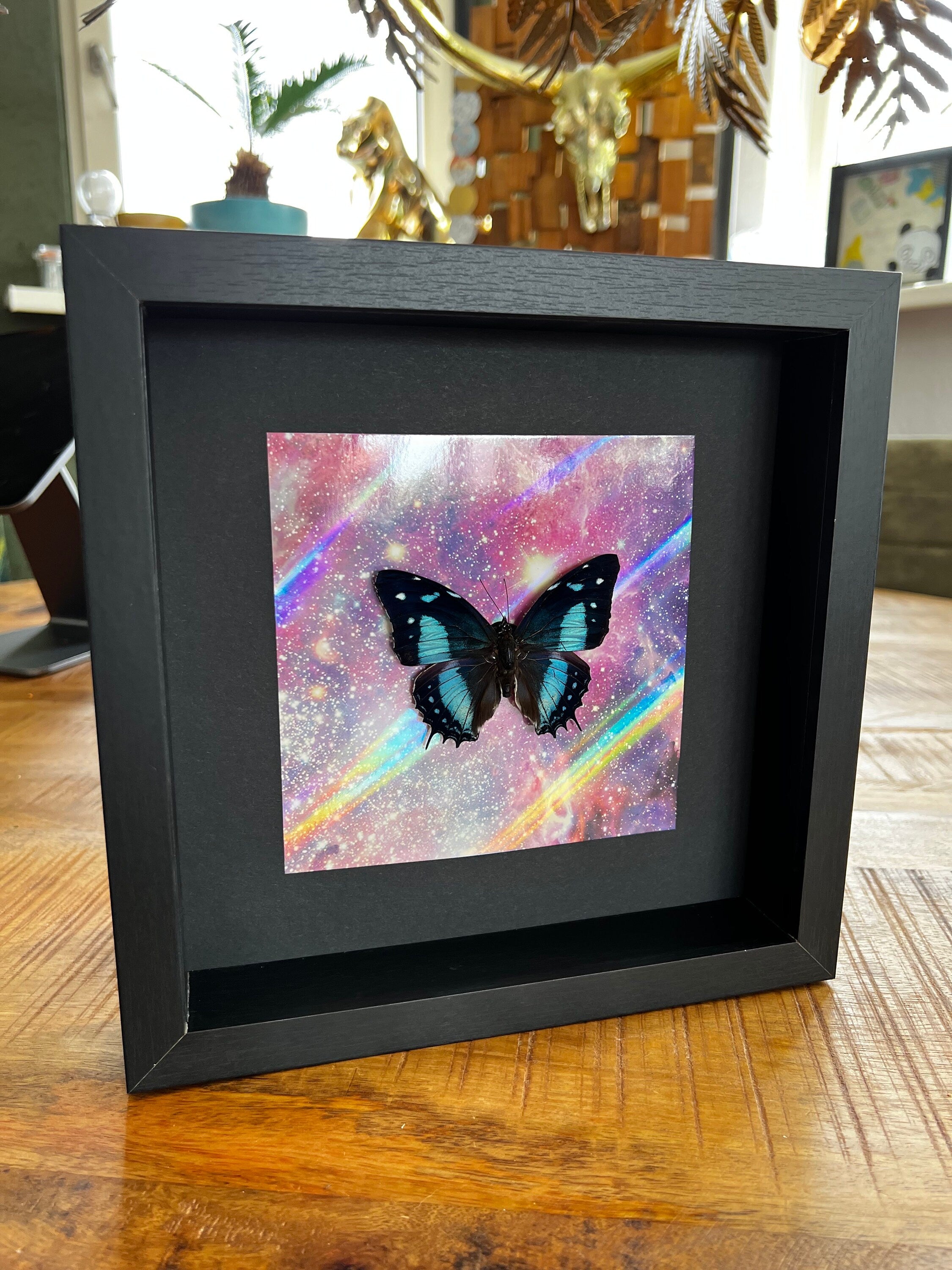 Baeotus Aeilus op print in lijst