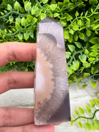 A hand is holding a clear crystal with a slice of agate visible through it, set against a backdrop of green foliage.